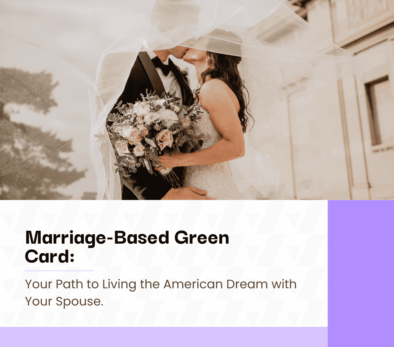 visa companion blog image