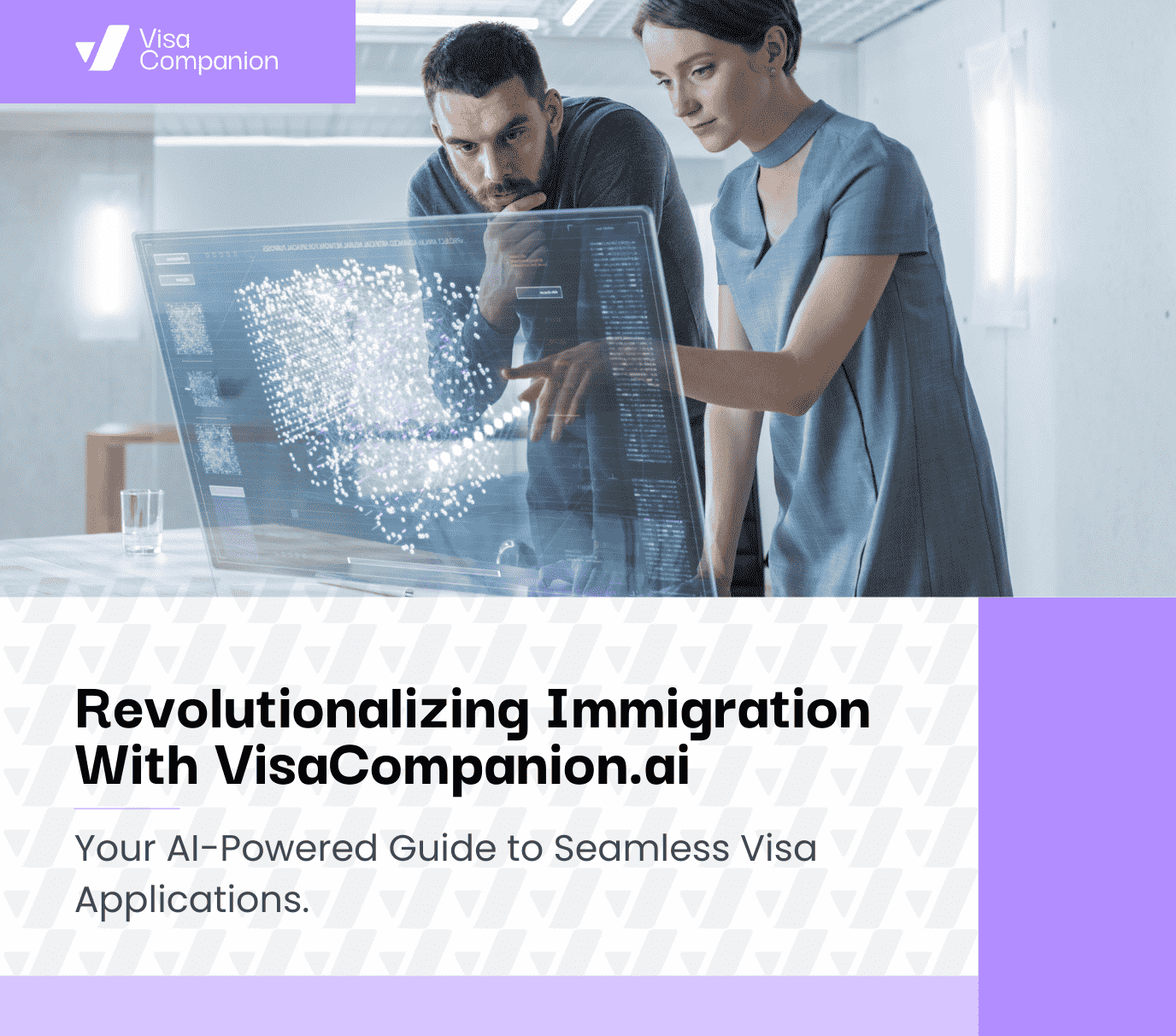 visa companion blog image